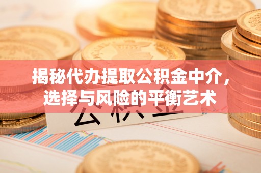 长兴揭秘代办提取公积金中介，选择与风险的平衡艺术