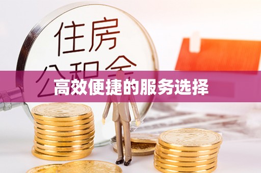 长兴高效便捷的服务选择